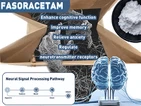 Fasoracetam (NS-105) puas tuaj yeem pab kho ADHD? Cov Kev Pom Zoo Tshiab Rau ...